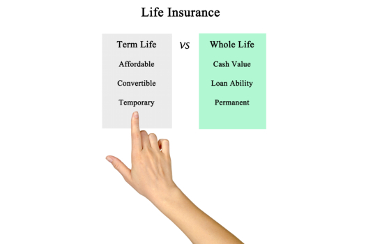 what-is-term-life-insurance